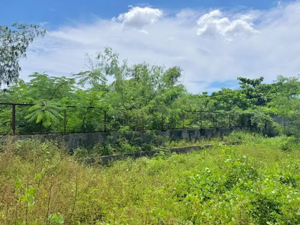 Dijual Tanah Pekarangan 5.918m² LD 36m Jl. Magelang KM 7.5 Jongke – Cocok Perumahan / Gudang