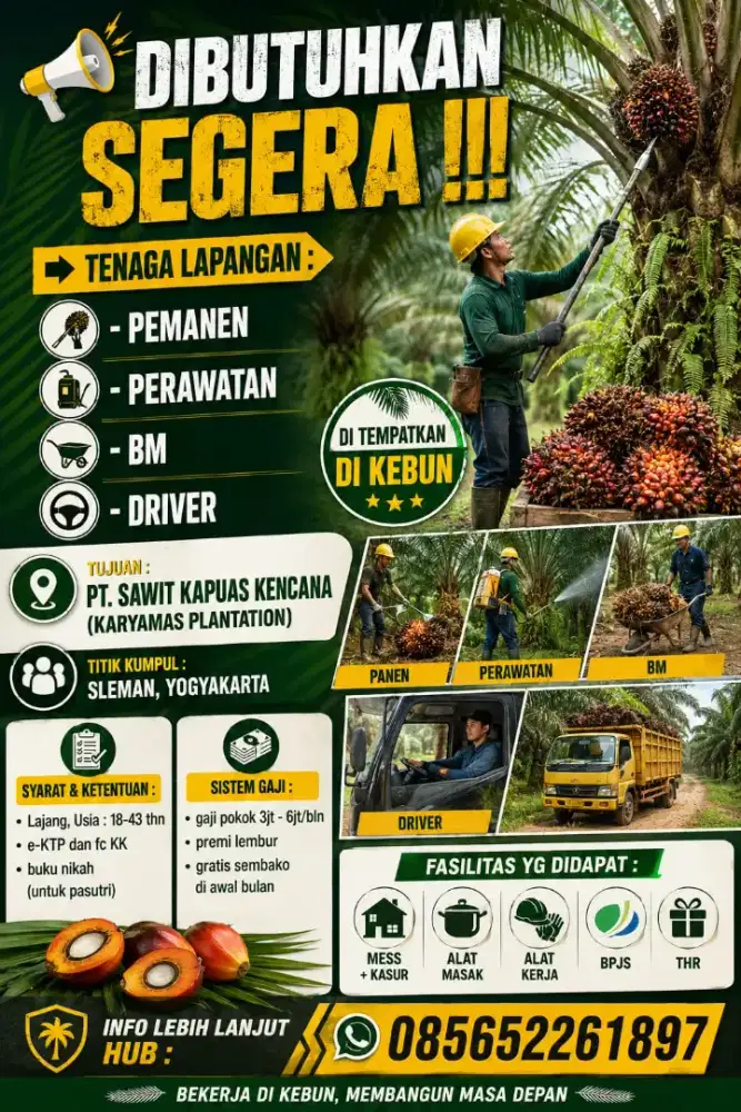 Lowongan Pekerjaan Petani Sawit