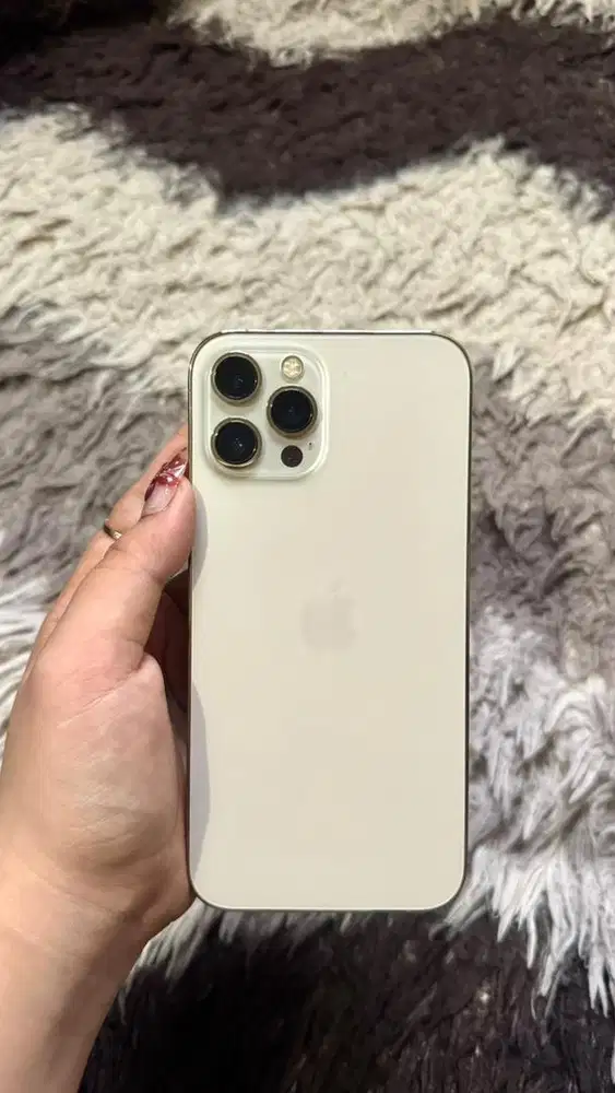 Dijual Iphone 12 Promax 256 Gold