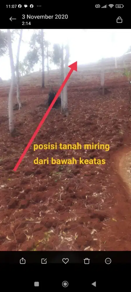 Dijual tanah kebon