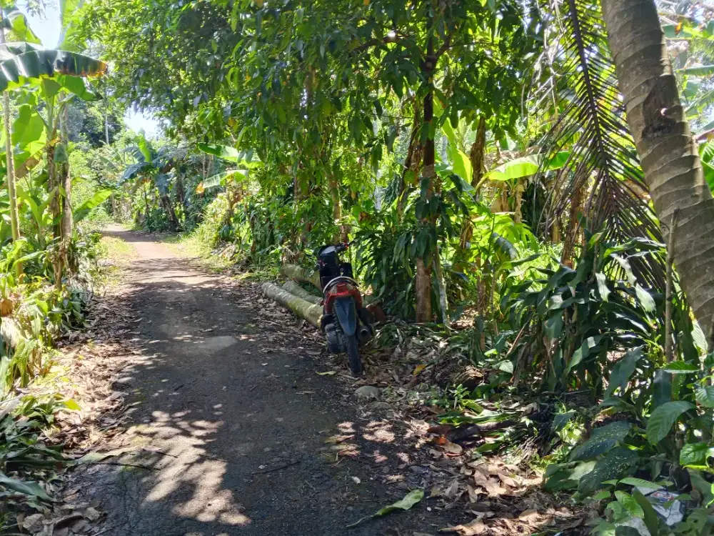 Di jual lhan tanah darat lt 650 MTR pinggir jln desa