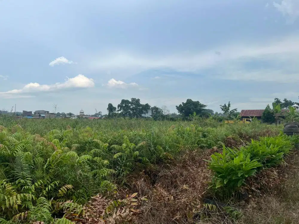 Dijual Tanah Murah Lokasi Strategis daerah Tenggarong Kutai Kartanegar