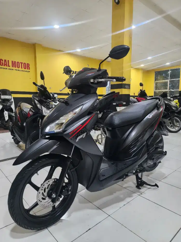 Vario 110 agnes 2015