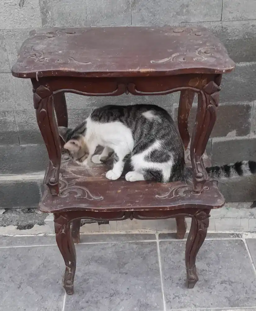 Meja kayu jati 2 biji