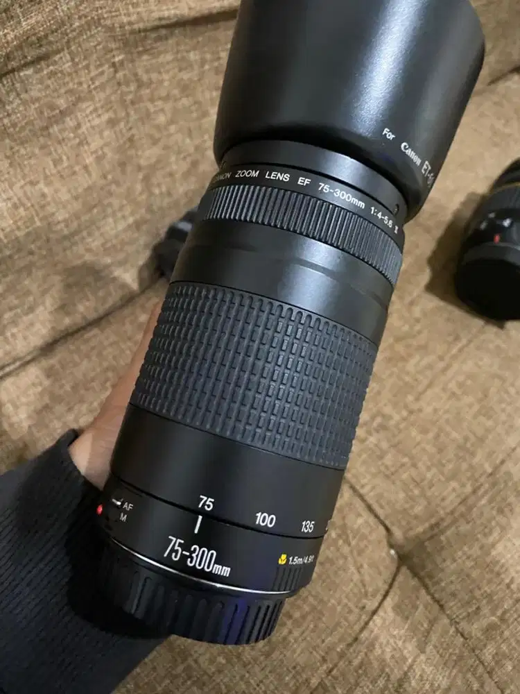 lensa 75-300mm ii forcanon