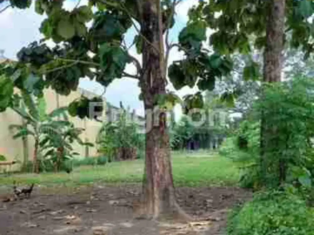 Tanah Dijual Samping Barat Prambanan