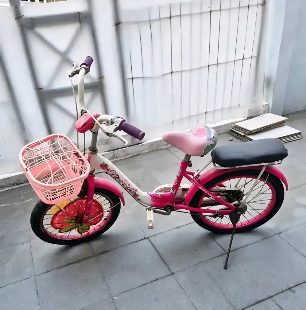 Sepeda Anak Perempuan Bekas
