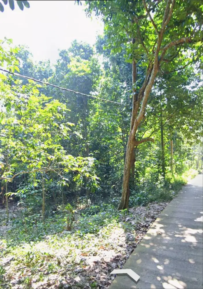 Dijual Cepat Tanah Kebun Darat luas 1700 m2 dekat Kantor Prov Banten
