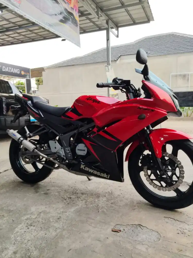 Ninja RR new 2012