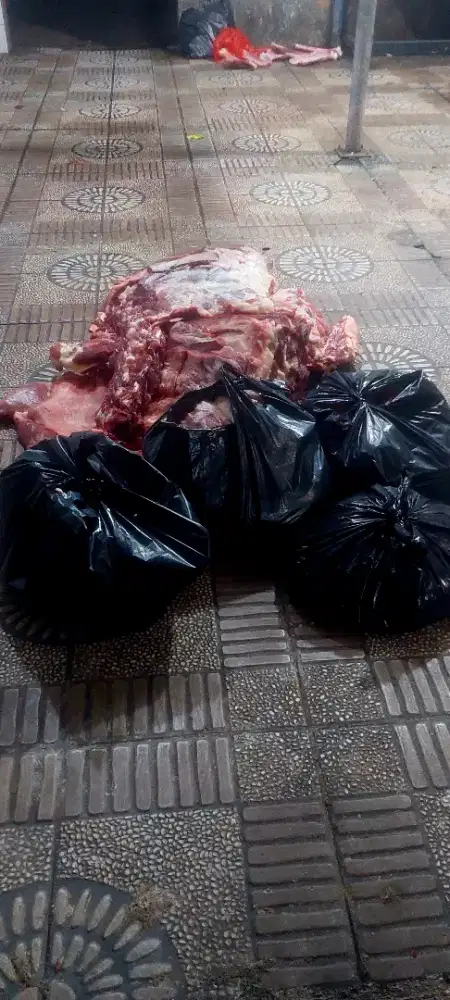 Daging sapi segar