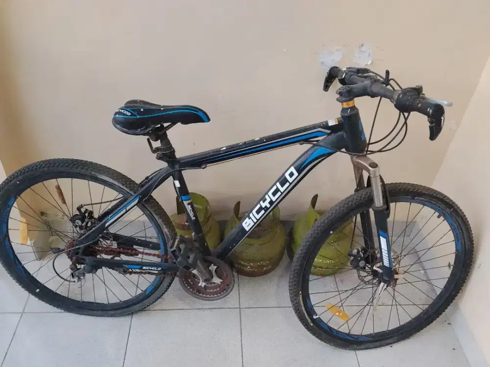 Sepeda Bekas Bicyclo (Perlu servis)