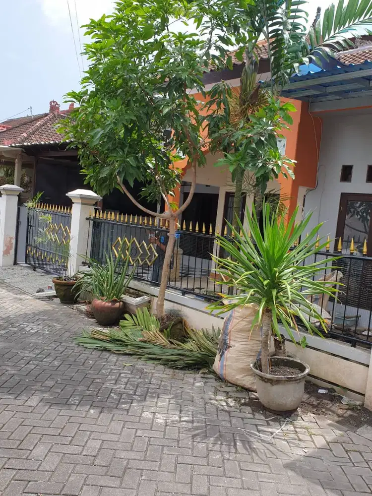 Rumah 2 Lantai SHM Taman Griya Jimbaran, Sewa Tahunan, Kosong