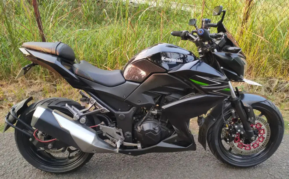Kawasaki Z250 2013