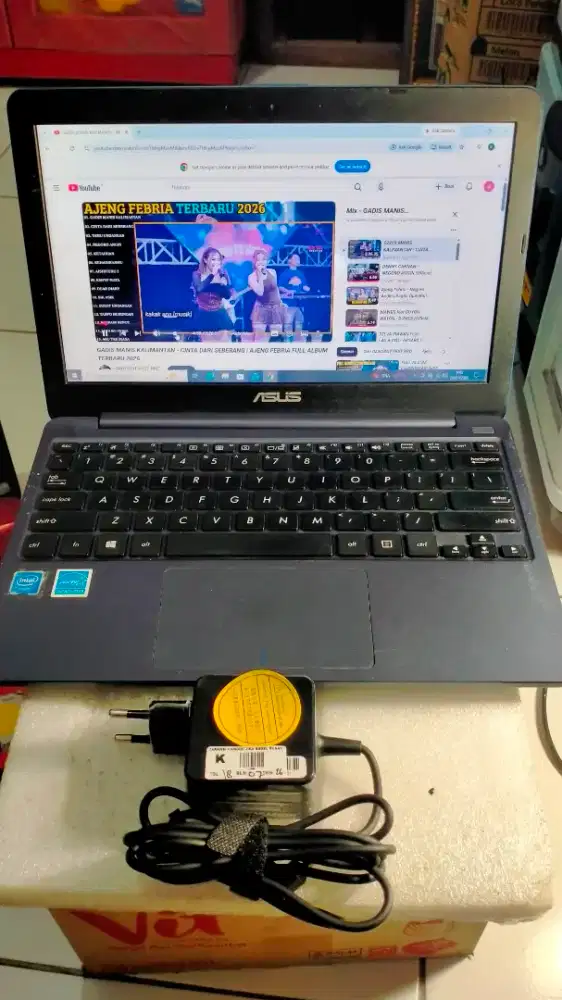 Netbook Asus E203M