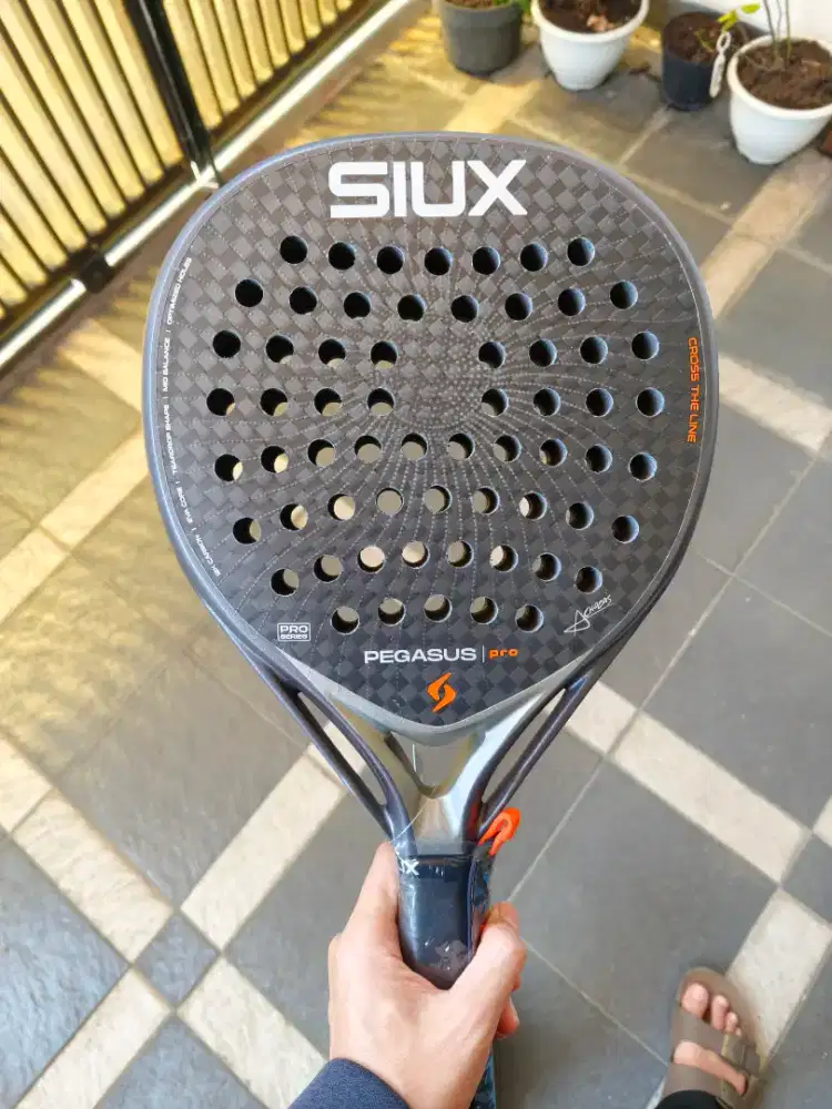 BNIB Siux Pegasus Pro 2026 Strom Grey
