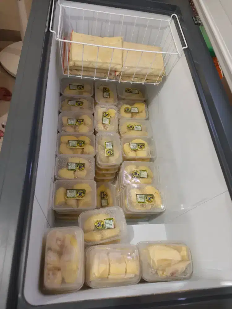 Durian montong Palu Frozen 400-500 grm/box di Cibinong