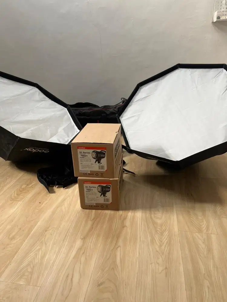 Godox SL60W sepasang