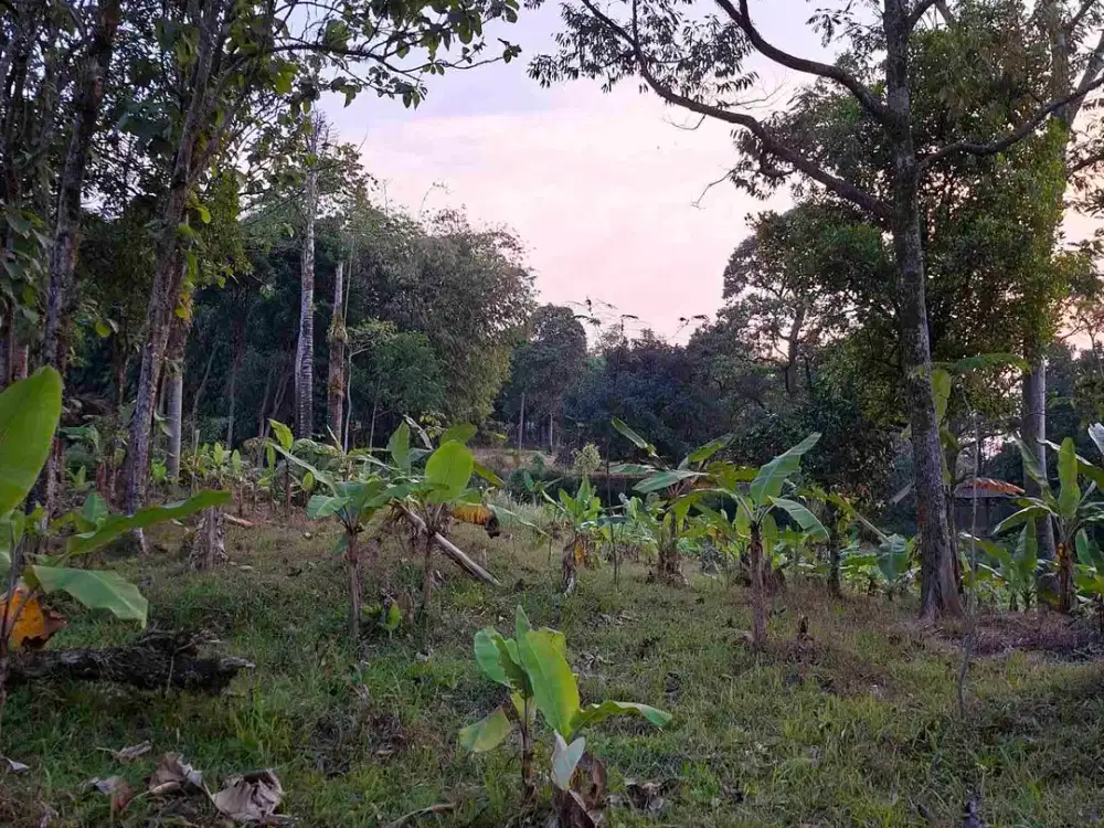 Di jual tanah view golf gunung geulis summarecon Bogor.sangat cocok untuk villa keluarga dan investasi masa Depan