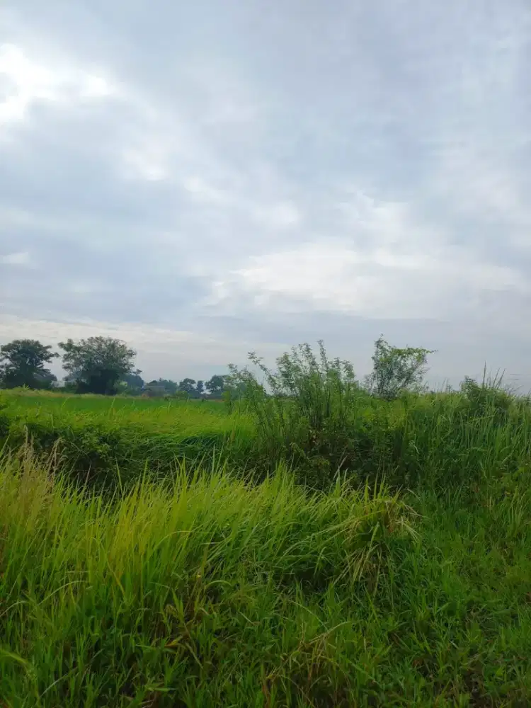 DIJUAL TANAH, LOKASI DEKAT PERUMAHAN
