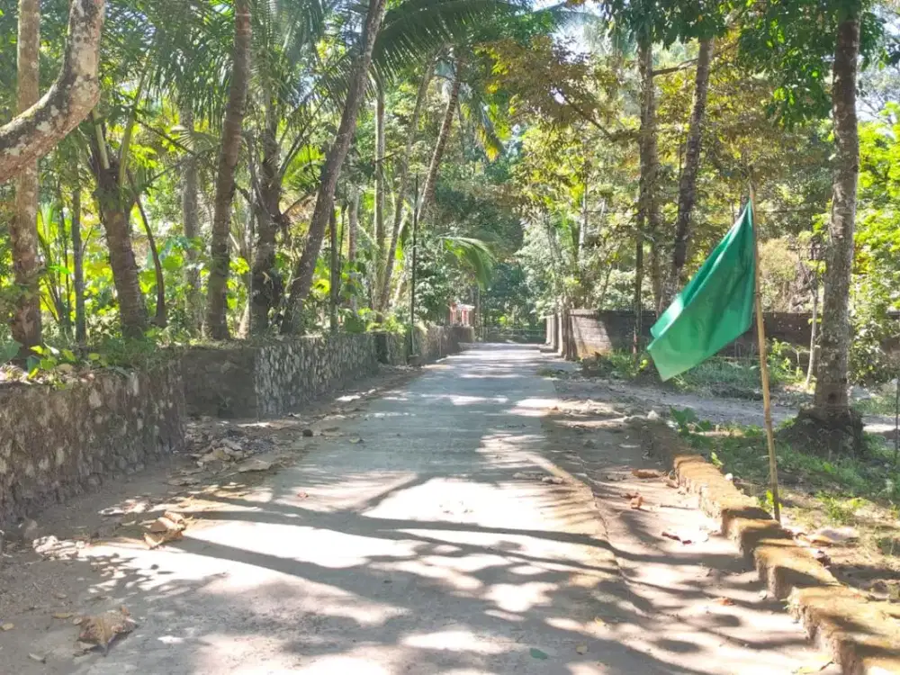 Tanah Pekarangan Kemalang Murah dan Banyak Bonusnya