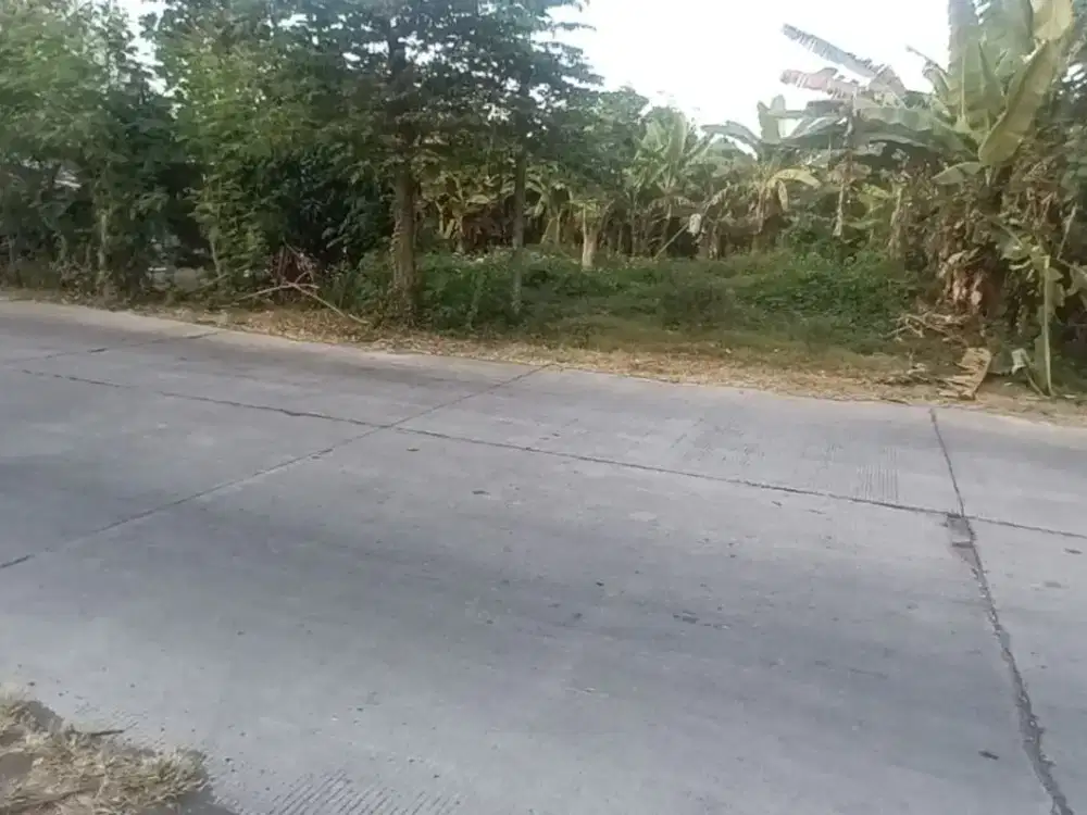 Dijual Lahan Puri Mojokerto