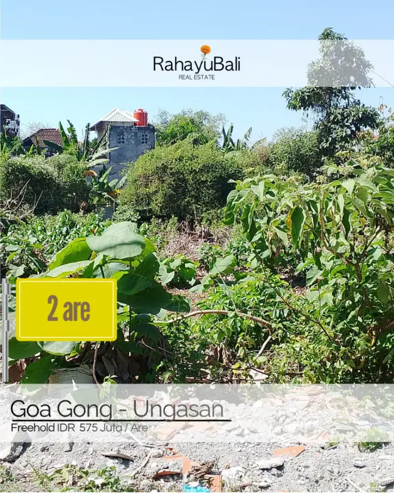 Tanah luasan kecil di Goa Gong