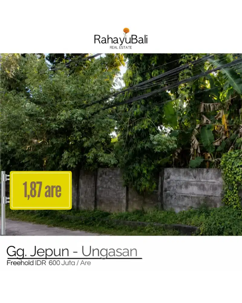 Tanah luasan kecil di ungasan