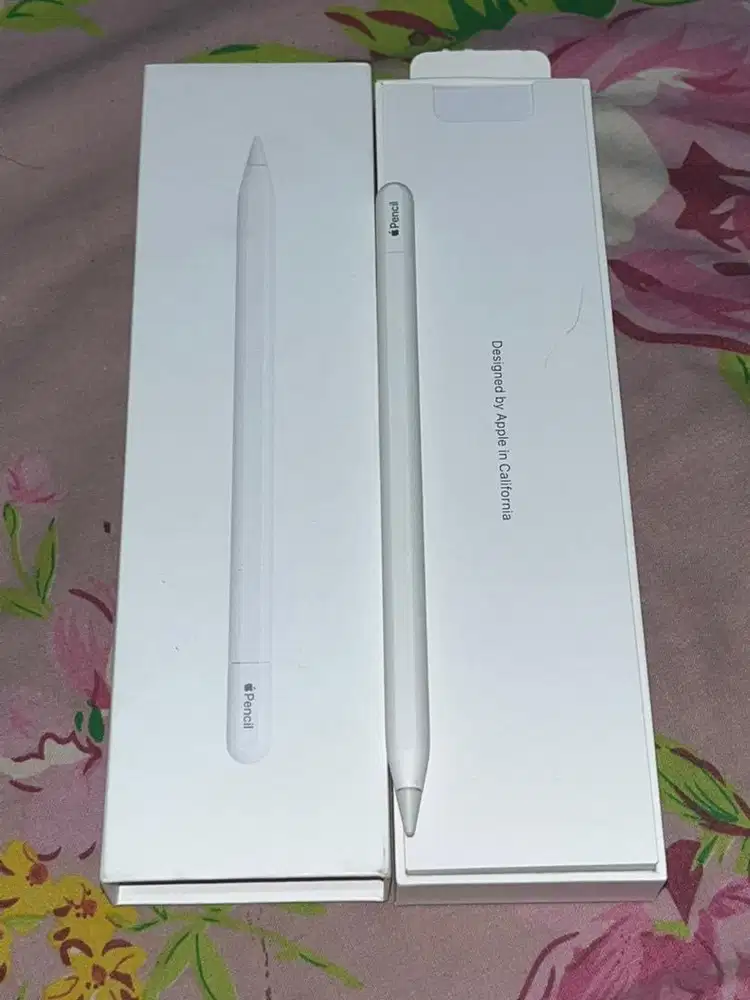 Appel pencil usb C