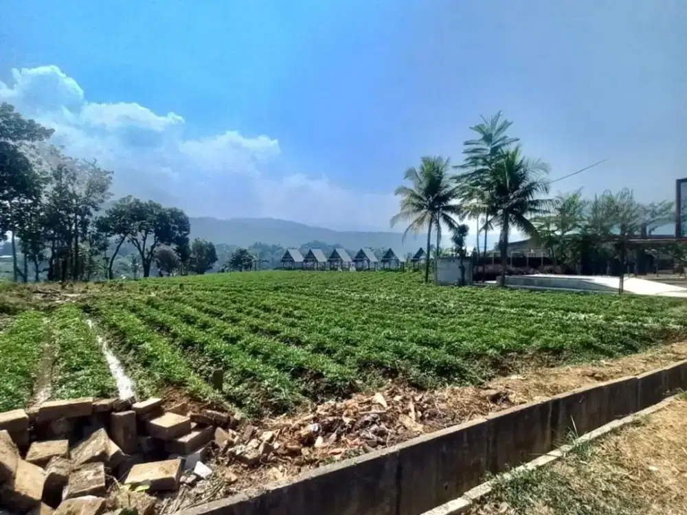 Tanah Luas Pinggir Jalan Lokasi Stategis Dekat dengan Area Wisata, Akses Jalan Besar, Area Nagrek Limbangan Bandung Jawa Barat