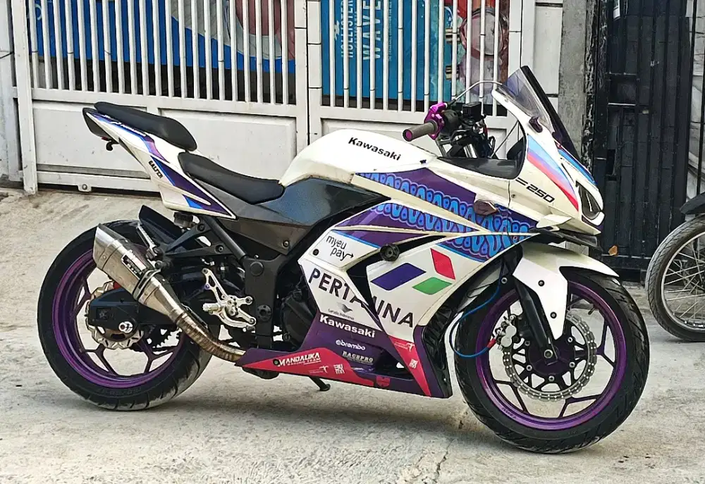 Kawasaki Ninja 250