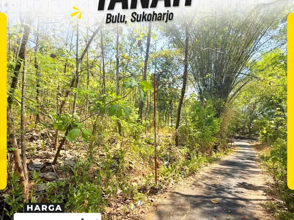 Tanah Pekarangan Ditanami Pohon Jati Luas Murah Akses Jalan Aspal di Bulu Sukoharjo