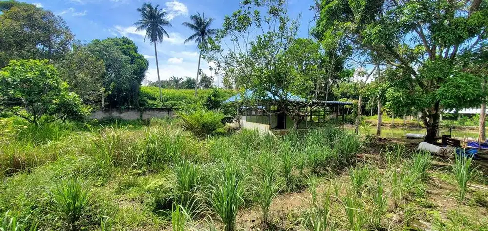 Dijual Tanah Ladang