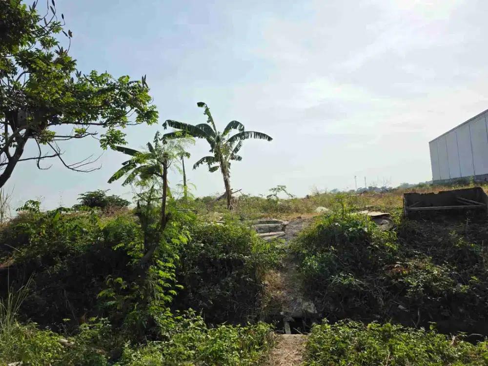 Jual Tanah Kavling Industri 5000 meter Kawasan Industri Candi KIC Semarang