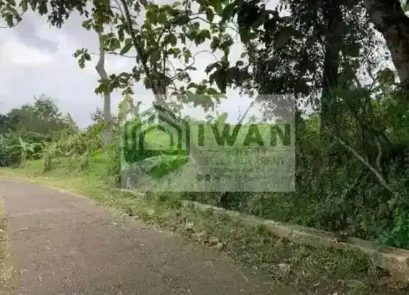 Tanah Hadap Jalan Poros Desa Dengan View Sawah