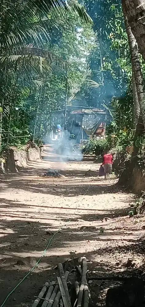 Pupuk pertanian bagus