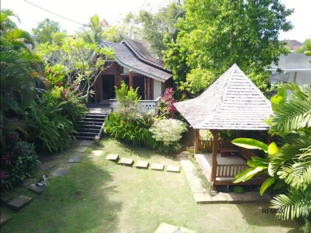Tanah Premium 6,58 Are dengan Bonus Villa Dijual di Pererenan, Canggu