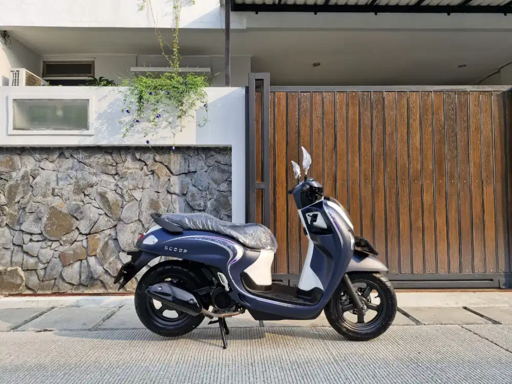 FREE BBN HONDA SCOOPY FASHION TH 2024