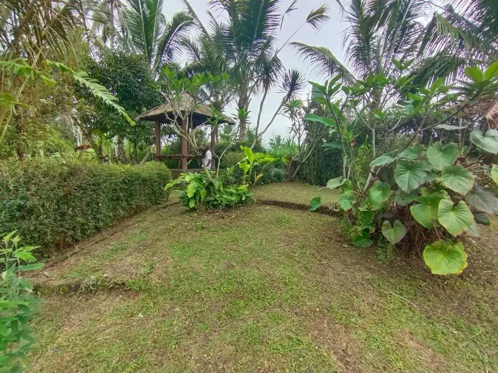 Tanah Dijual Cepat di Gianyar Bali - Pinggir Jalan dan diaspal