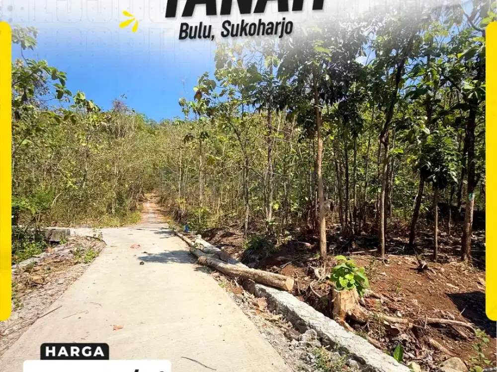 Tanah Pekarangan Ditanami Pohon Jati Luas Murah di Kunden Bulu Sukoharjo