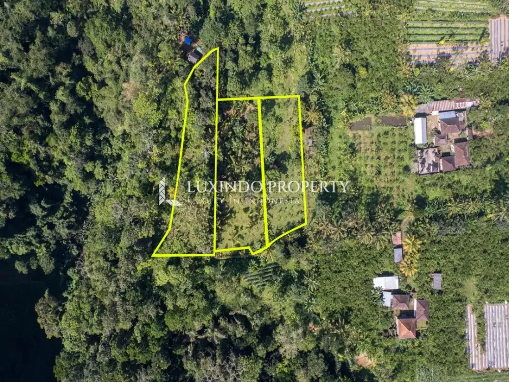 DIJUAL TANAH SELUAS 50 ARE DI PAYANGAN