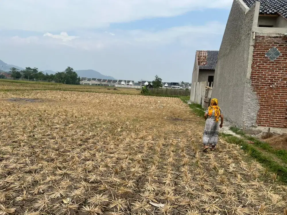 Dijual sawah, belakang perumahan BoMa Asri