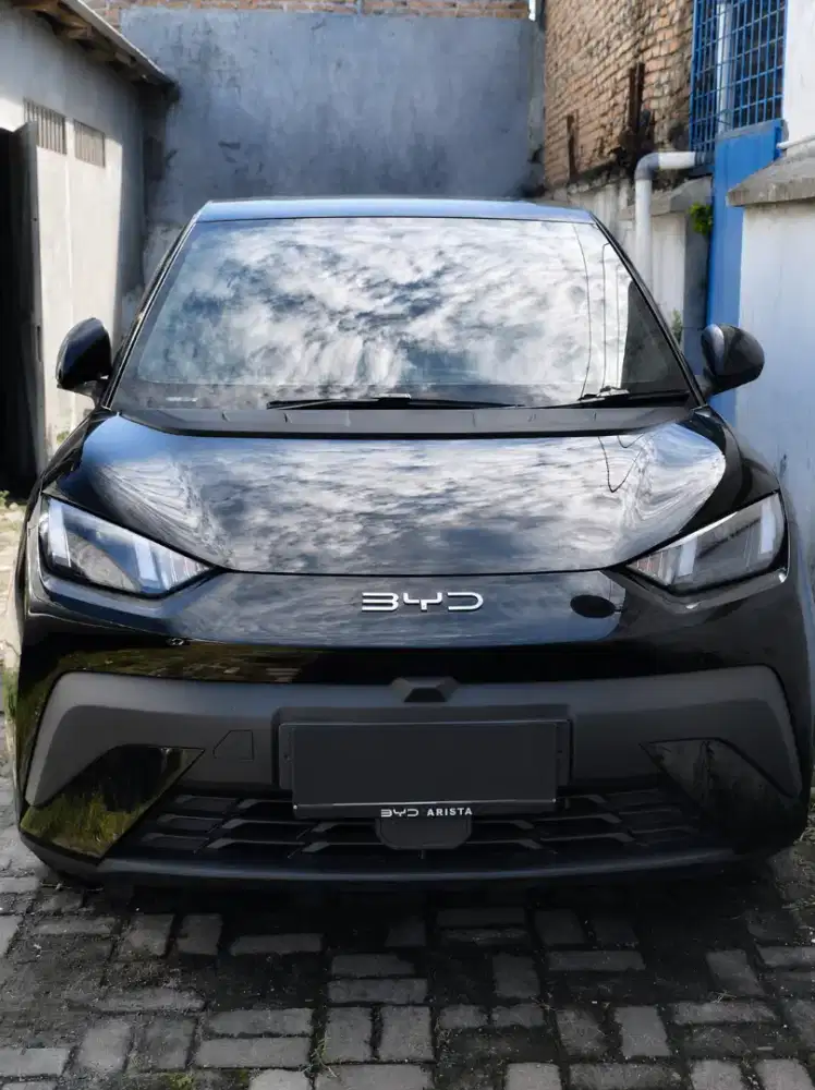 Byd atto 1 range 300