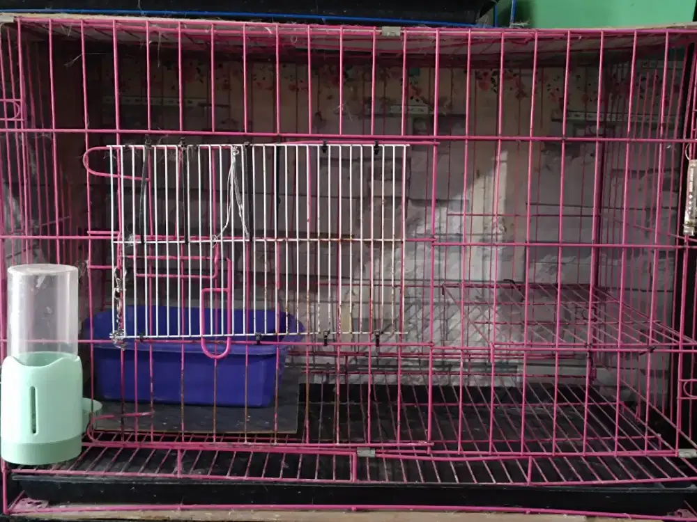 Kandang kucing besar 75cm lipat