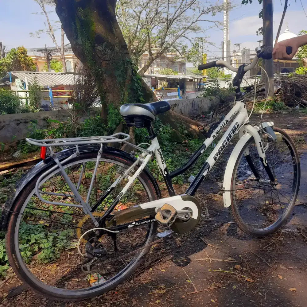 Sepeda pacific putih / nego