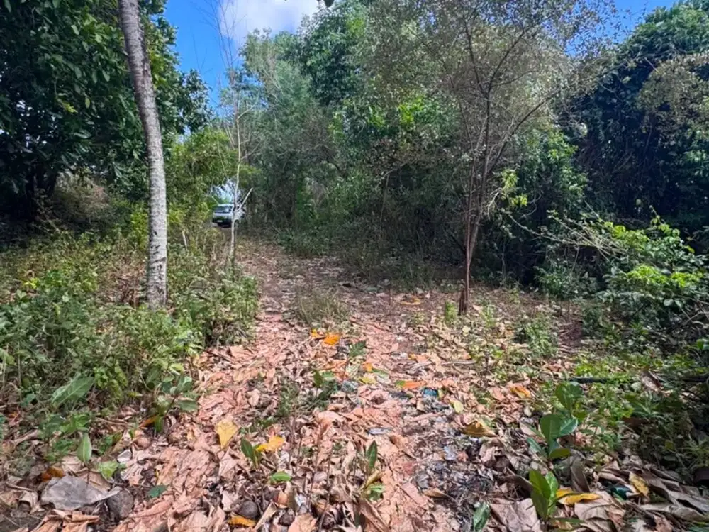 Premium Ocean View Land for Sale in Balangan, Bali – 9,250 m² Freehold Tourism Zone, Ideal for Villa, Resort & Hotel Development