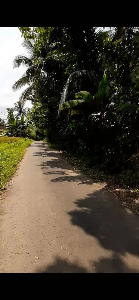 Dijual Tanah Kebun durian