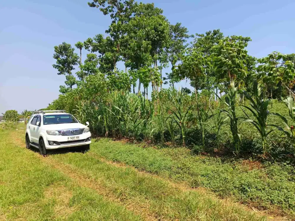 Muraah Tanah Kavling 1400 m², Lokasi Jatinangor