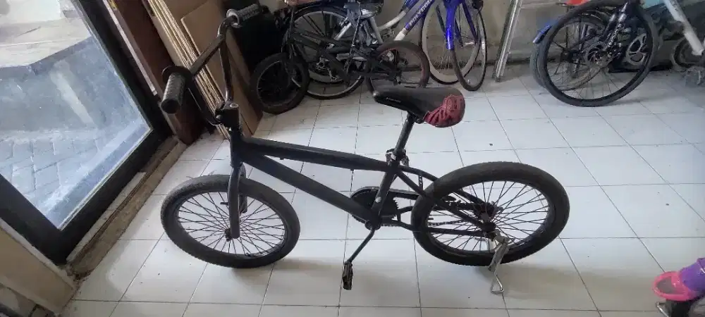 Sepeda BMX, Phoenix vista r20