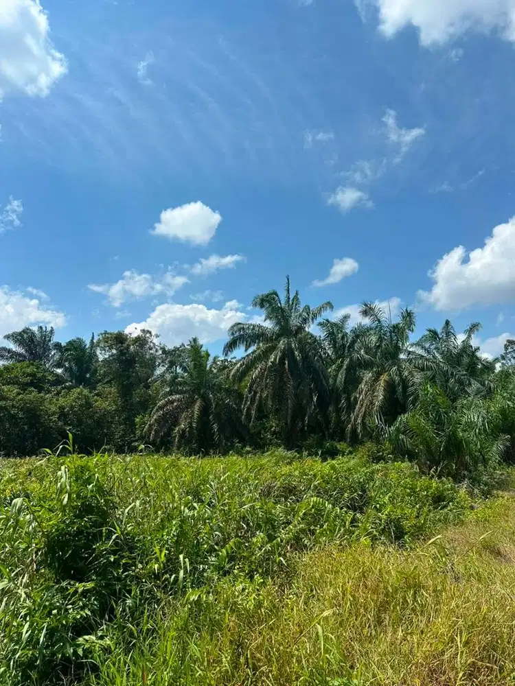 Di Jual Sebidang Tanah di Banyuasin