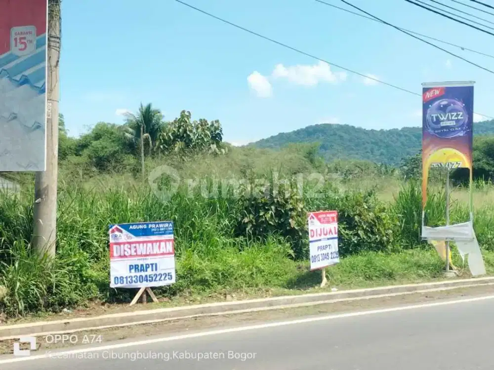 Jual Tanah Di Leuwiliang Bogor Rp 3.7jt/m2 Luas 1815m2